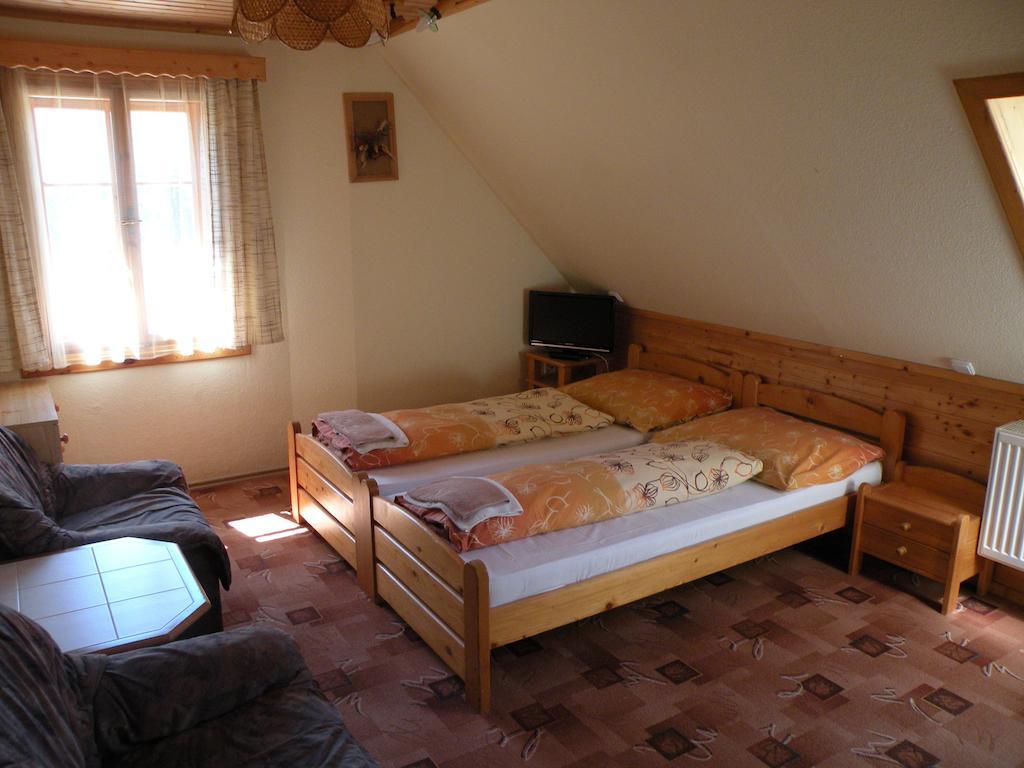 Hotel Lesni Dum Janské Lázně Kamer foto